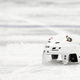 Illustration for article titled Im A Senators Fan And This Is Hell